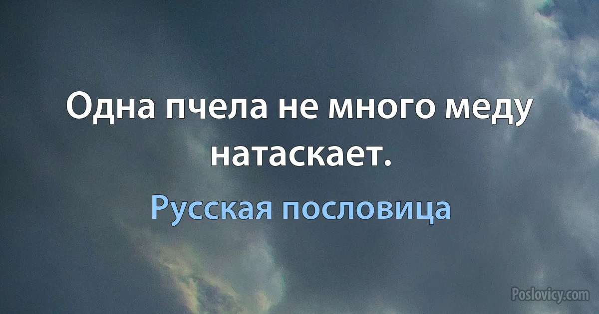 Одна пчела не много меду натаскает. (Русская пословица)