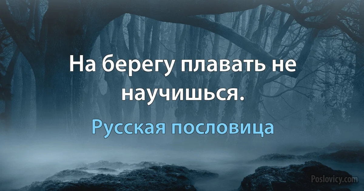 На берегу плавать не научишься. (Русская пословица)