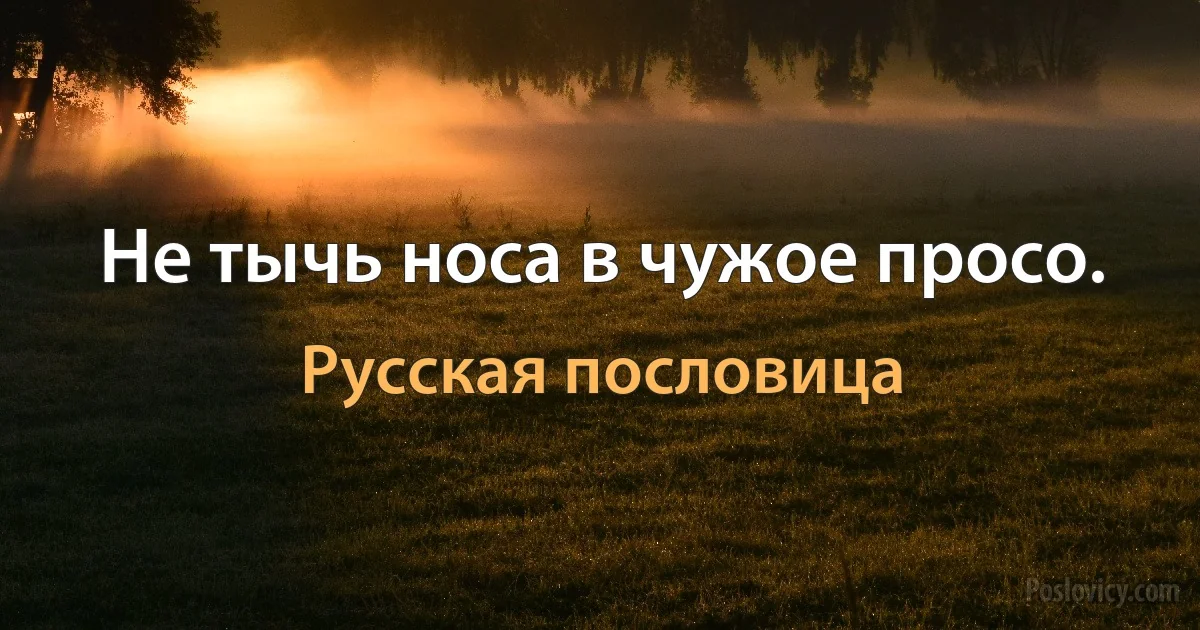 Не тычь носа в чужое просо. (Русская пословица)