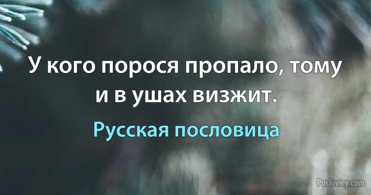 У кого порося пропало, тому и в ушах визжит. (Русская пословица)