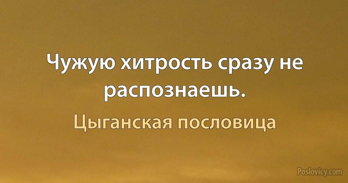 Чужую хитрость сразу не распознаешь. (Цыганская пословица)