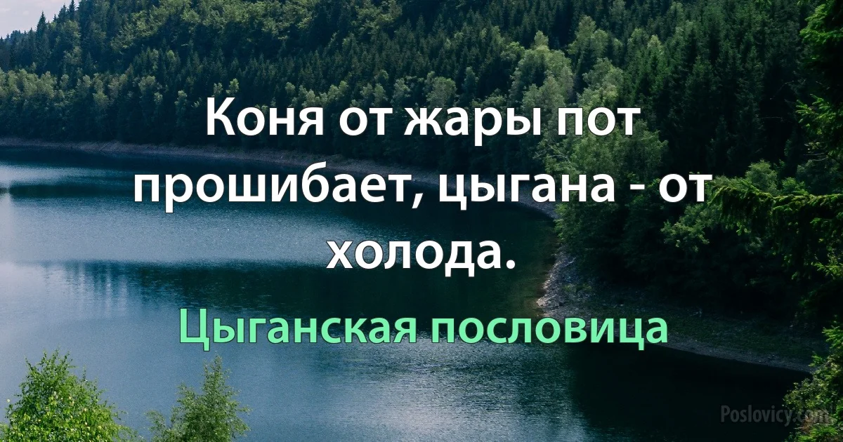 Коня от жары пот прошибает, цыгана - от холода. (Цыганская пословица)