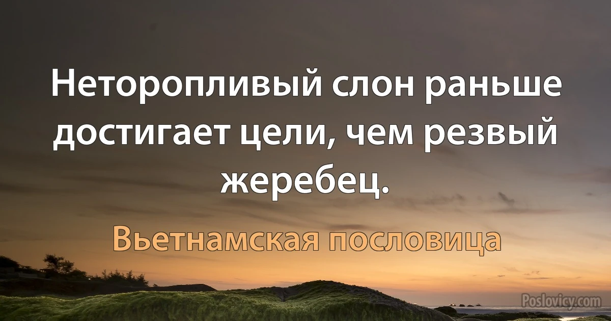 Неторопливый слон раньше достигает цели, чем резвый жеребец. (Вьетнамская пословица)