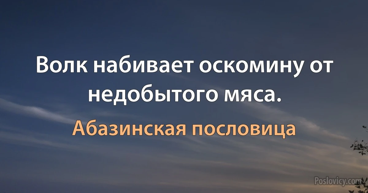 Волк набивает оскомину от недобытого мяса. (Абазинская пословица)