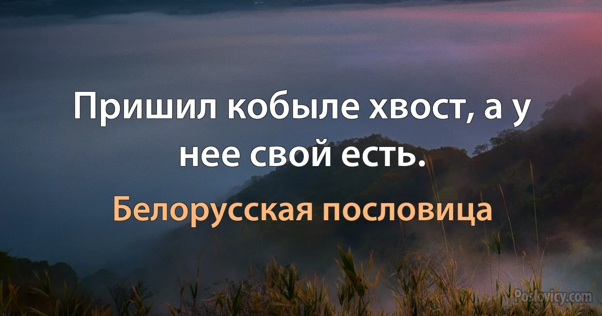 Пришил кобыле хвост, а у нее свой есть. (Белорусская пословица)