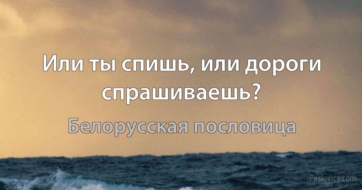 Или ты спишь, или дороги спрашиваешь? (Белорусская пословица)