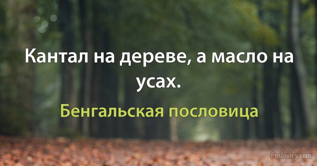 Кантал на дереве, а масло на усах. (Бенгальская пословица)