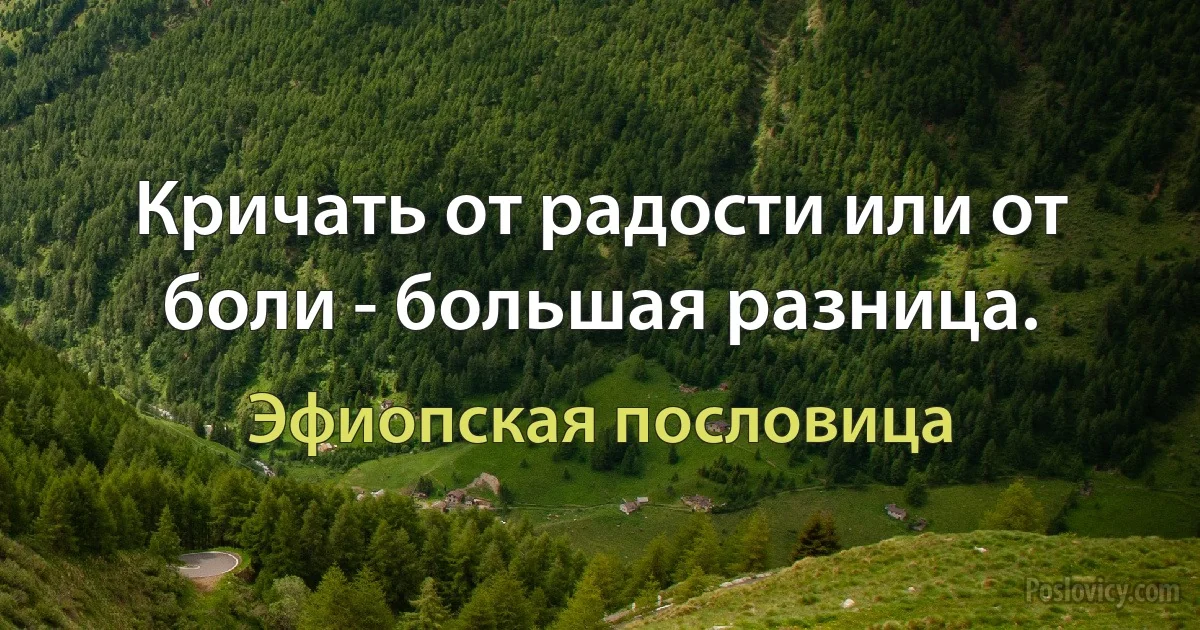 Кричать от радости или от боли - большая разница. (Эфиопская пословица)