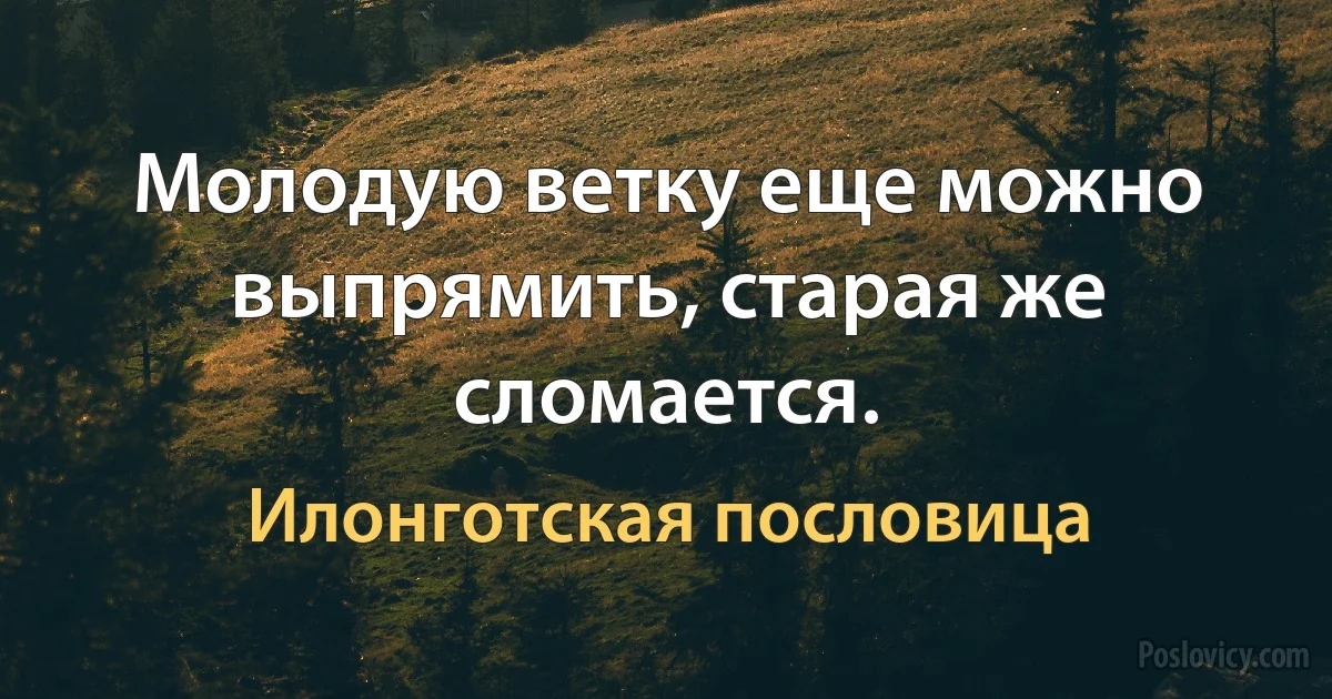 Молодую ветку еще можно выпрямить, старая же сломается. (Илонготская пословица)