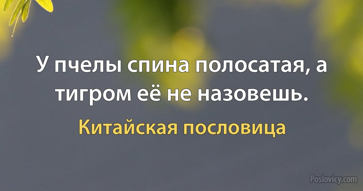 У пчелы спина полосатая, а тигром её не назовешь. (Китайская пословица)