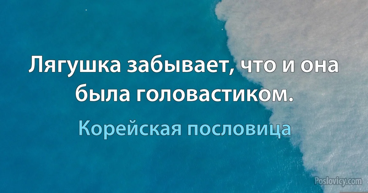 Лягушка забывает, что и она была головастиком. (Корейская пословица)