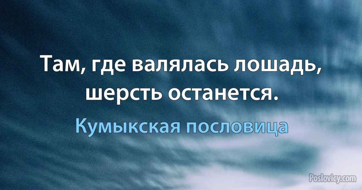 Там, где валялась лошадь, шерсть останется. (Кумыкская пословица)