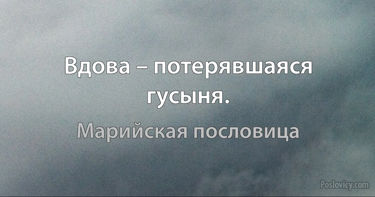 Вдова – потерявшаяся гусыня. (Марийская пословица)