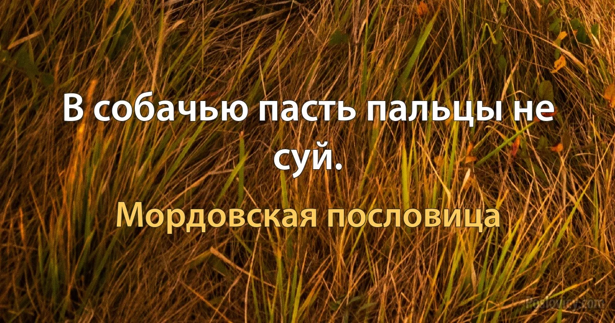 В собачью пасть пальцы не суй. (Мордовская пословица)