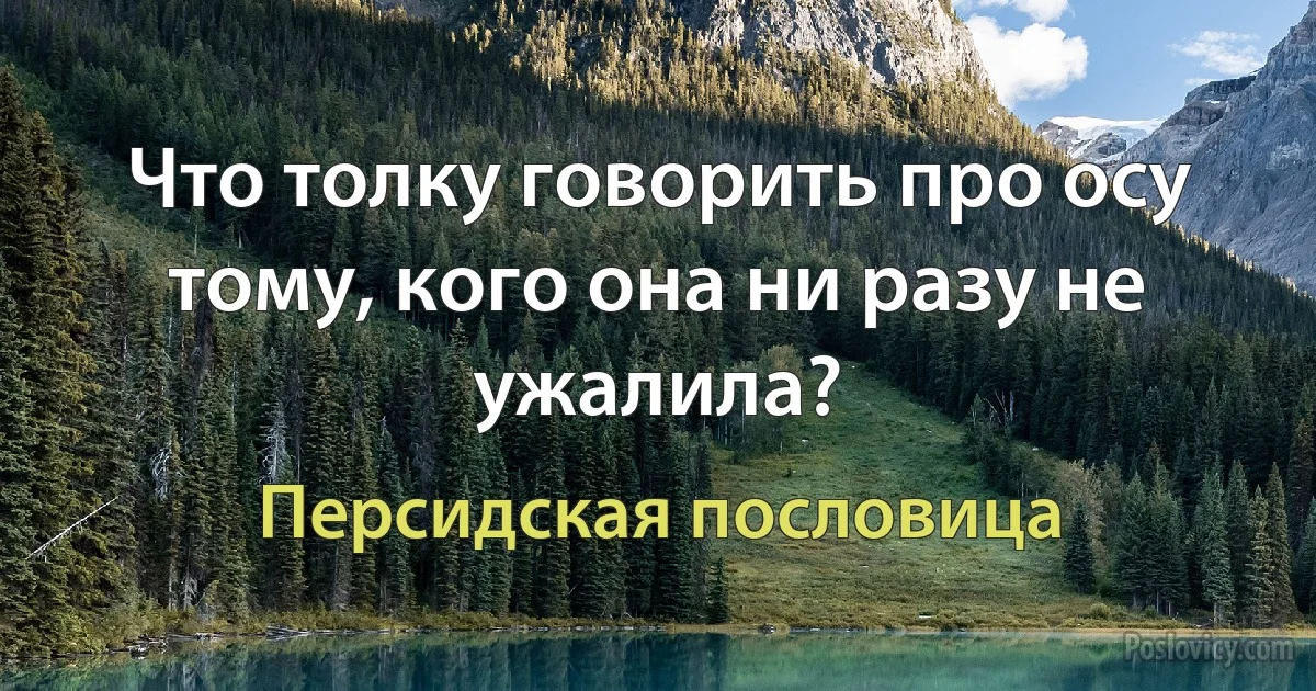 Что толку говорить про осу тому, кого она ни разу не ужалила? (Персидская пословица)