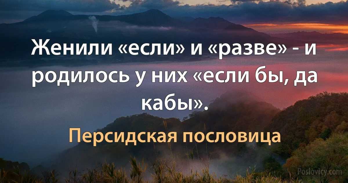 Женили «если» и «разве» - и родилось у них «если бы, да кабы». (Персидская пословица)