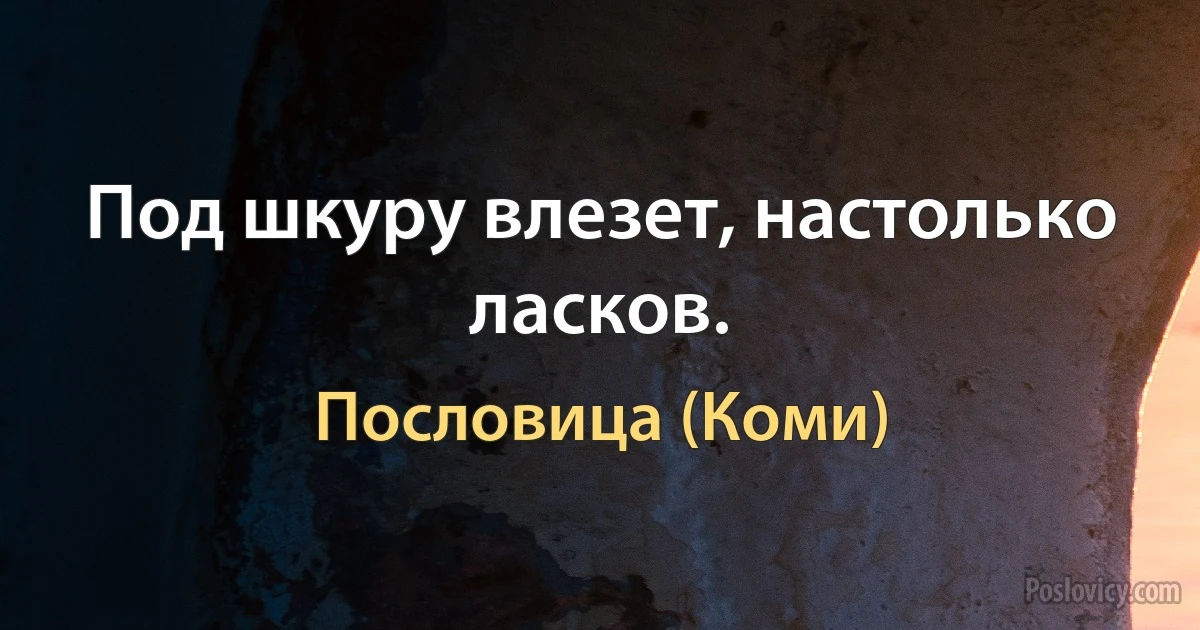 Под шкуру влезет, настолько ласков. (Пословица (Коми))