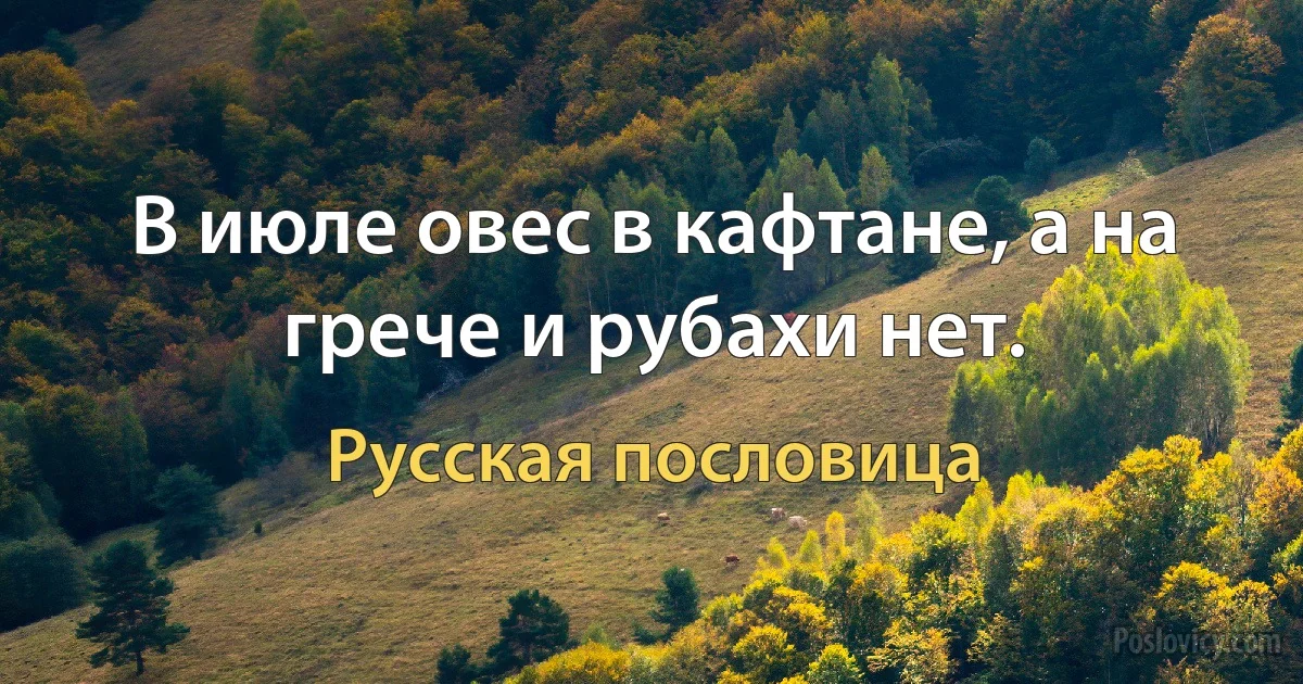 В июле овес в кафтане, а на грече и рубахи нет. (Русская пословица)