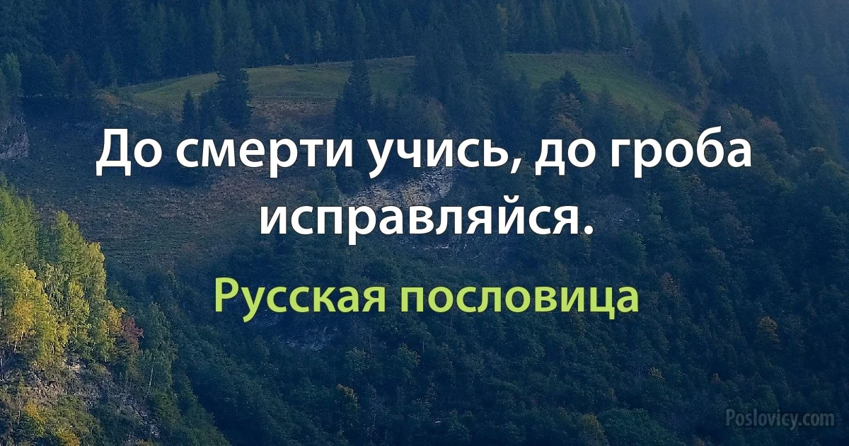 До смерти учись, до гроба исправляйся. (Русская пословица)