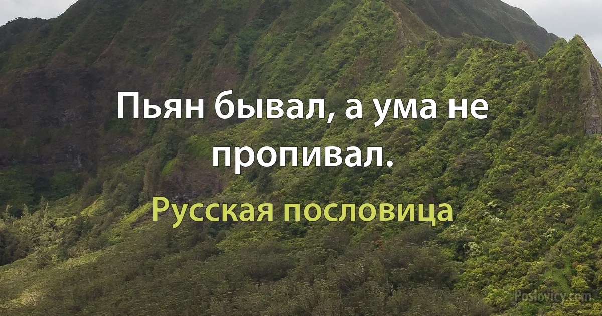 Пьян бывал, а ума не пропивал. (Русская пословица)