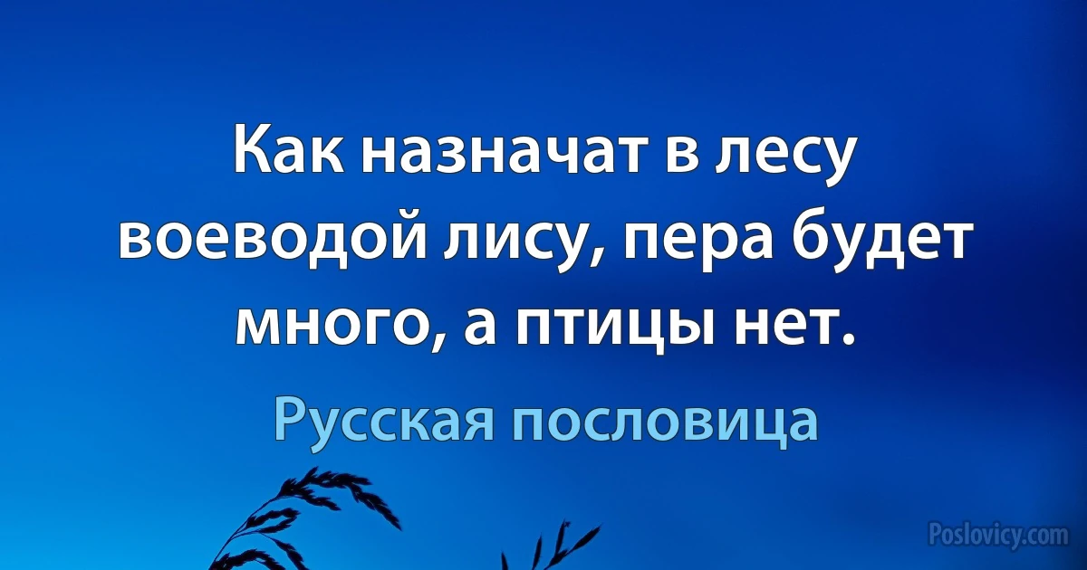 Как назначат в лесу воеводой лису, пера будет много, а птицы нет. (Русская пословица)