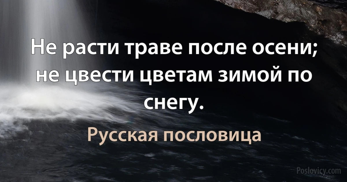 Не расти траве после осени; не цвести цветам зимой по снегу. (Русская пословица)