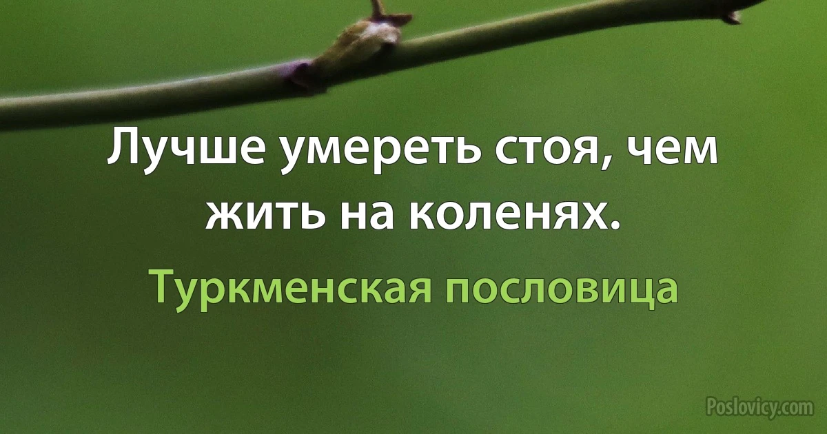 Лучше умереть стоя, чем жить на коленях. (Туркменская пословица)