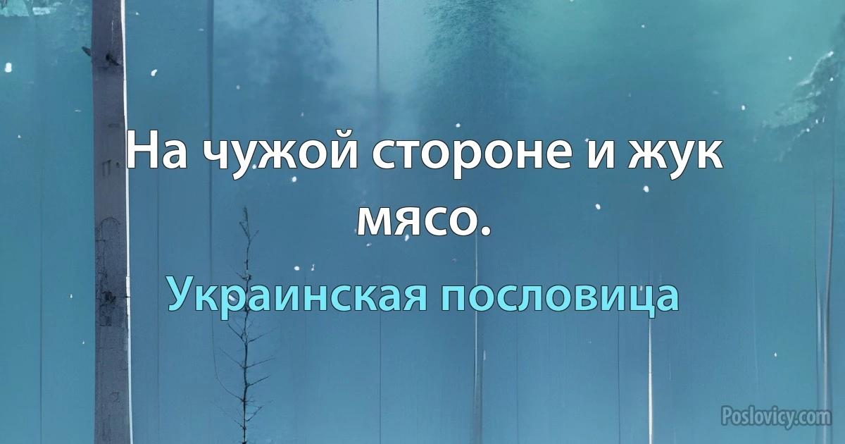 На чужой стороне и жук мясо. (Украинская пословица)