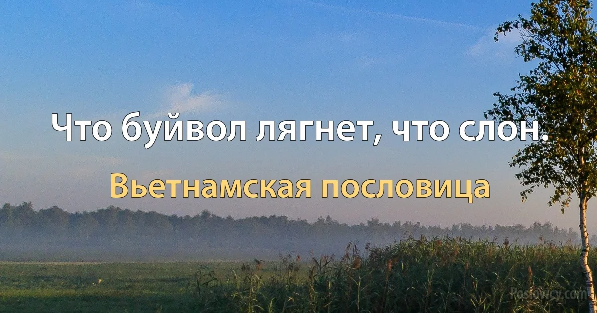 Что буйвол лягнет, что слон. (Вьетнамская пословица)