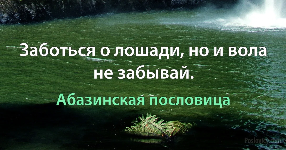 Заботься о лошади, но и вола не забывай. (Абазинская пословица)