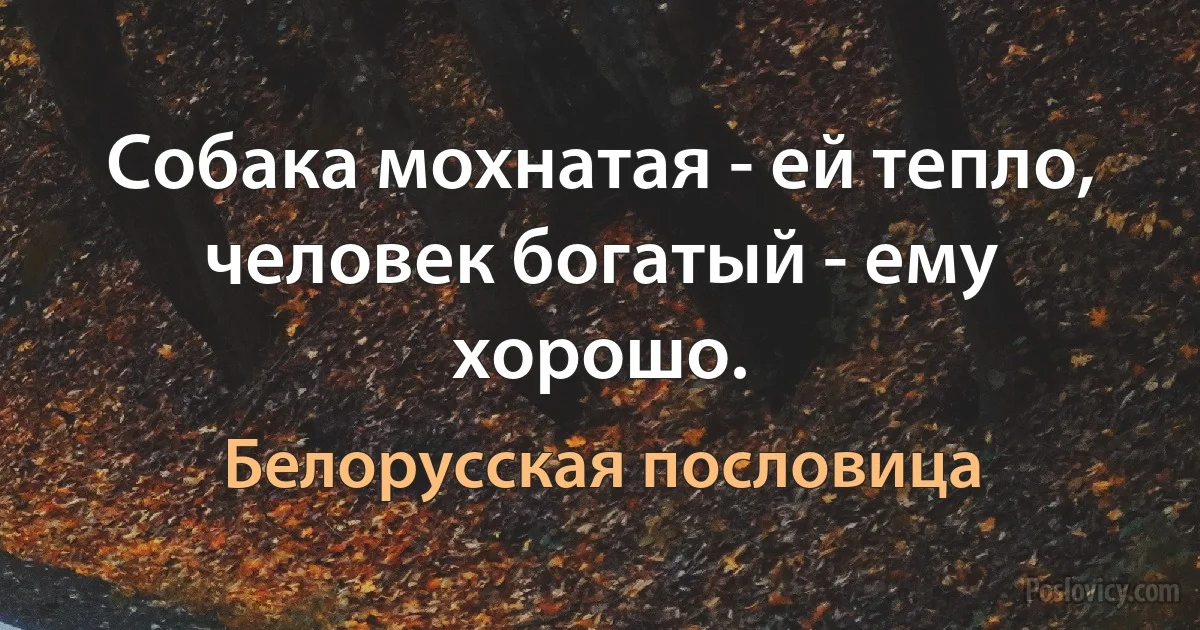 Собака мохнатая - ей тепло, человек богатый - ему хорошо. (Белорусская пословица)