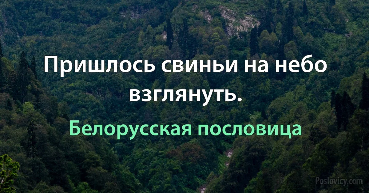 Пришлось свиньи на небо взглянуть. (Белорусская пословица)