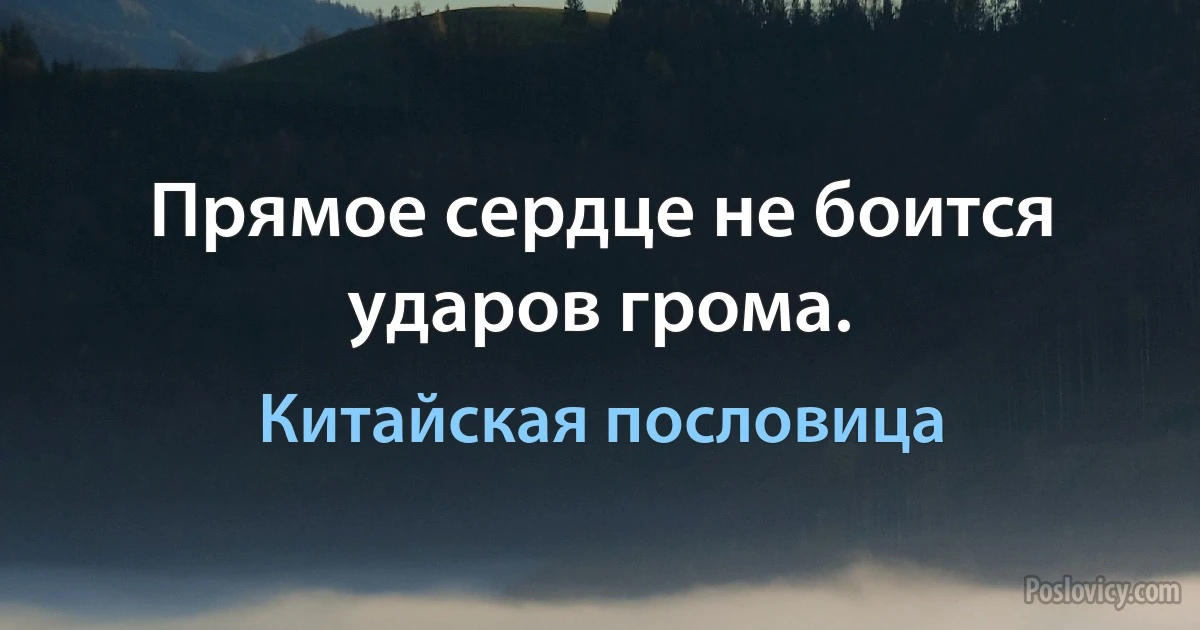 Прямое сердце не боится ударов грома. (Китайская пословица)