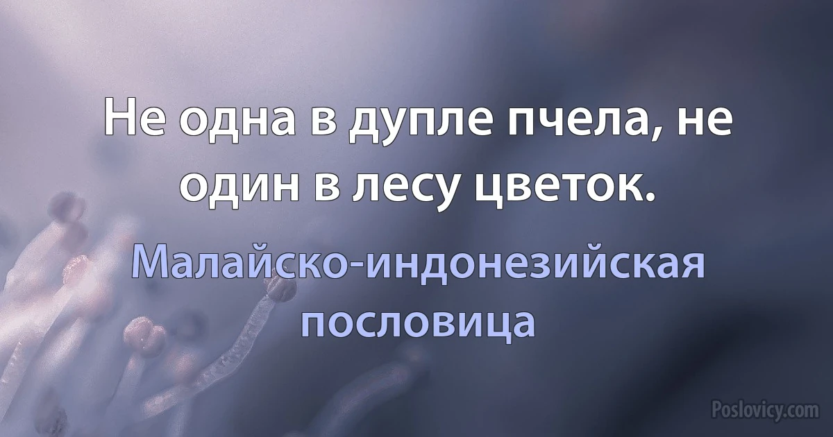 Не одна в дупле пчела, не один в лесу цветок. (Малайско-индонезийская пословица)