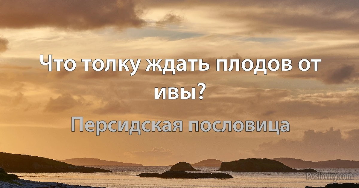 Что толку ждать плодов от ивы? (Персидская пословица)