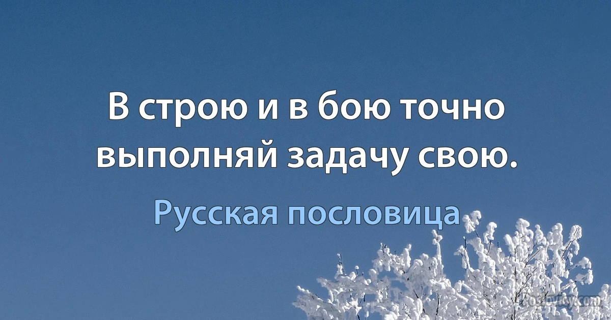 В строю и в бою точно выполняй задачу свою. (Русская пословица)