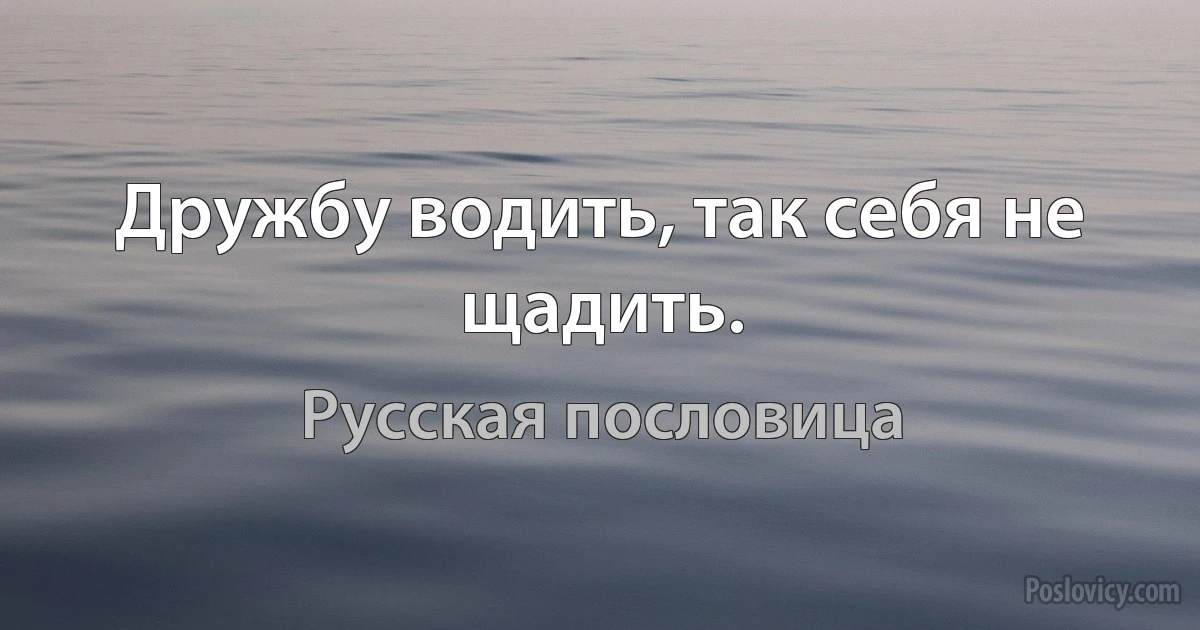 Дружбу водить, так себя не щадить. (Русская пословица)