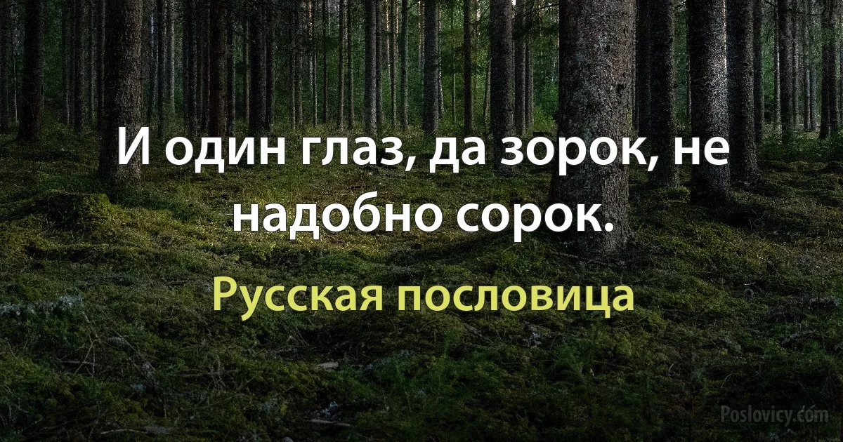 И один глаз, да зорок, не надобно сорок. (Русская пословица)