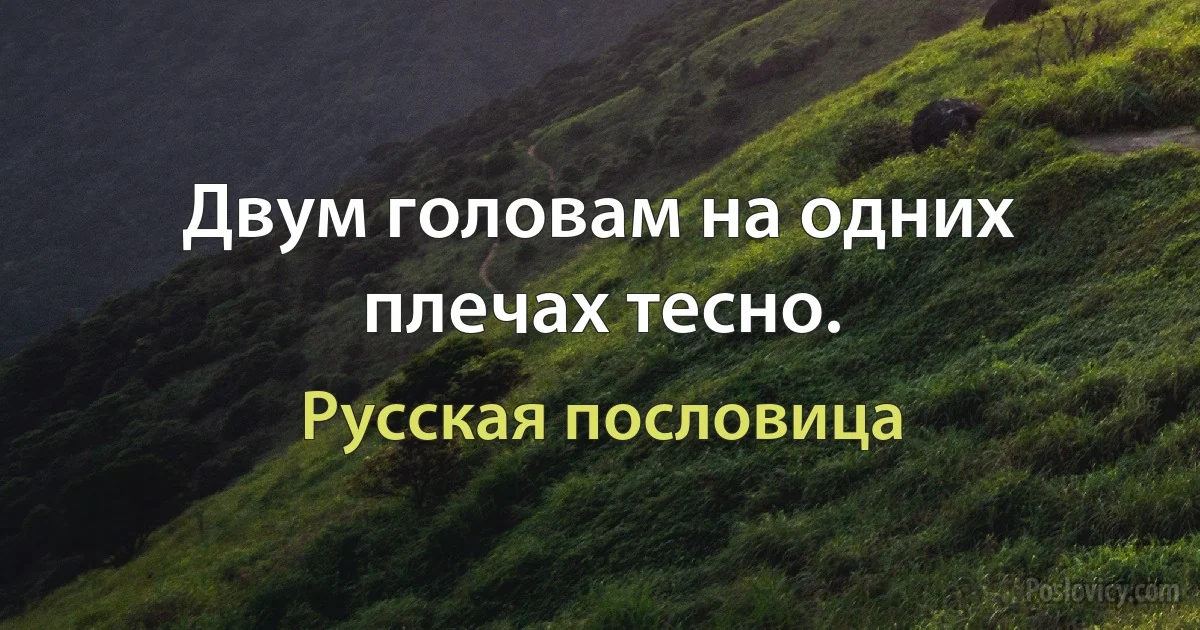 Двум головам на одних плечах тесно. (Русская пословица)