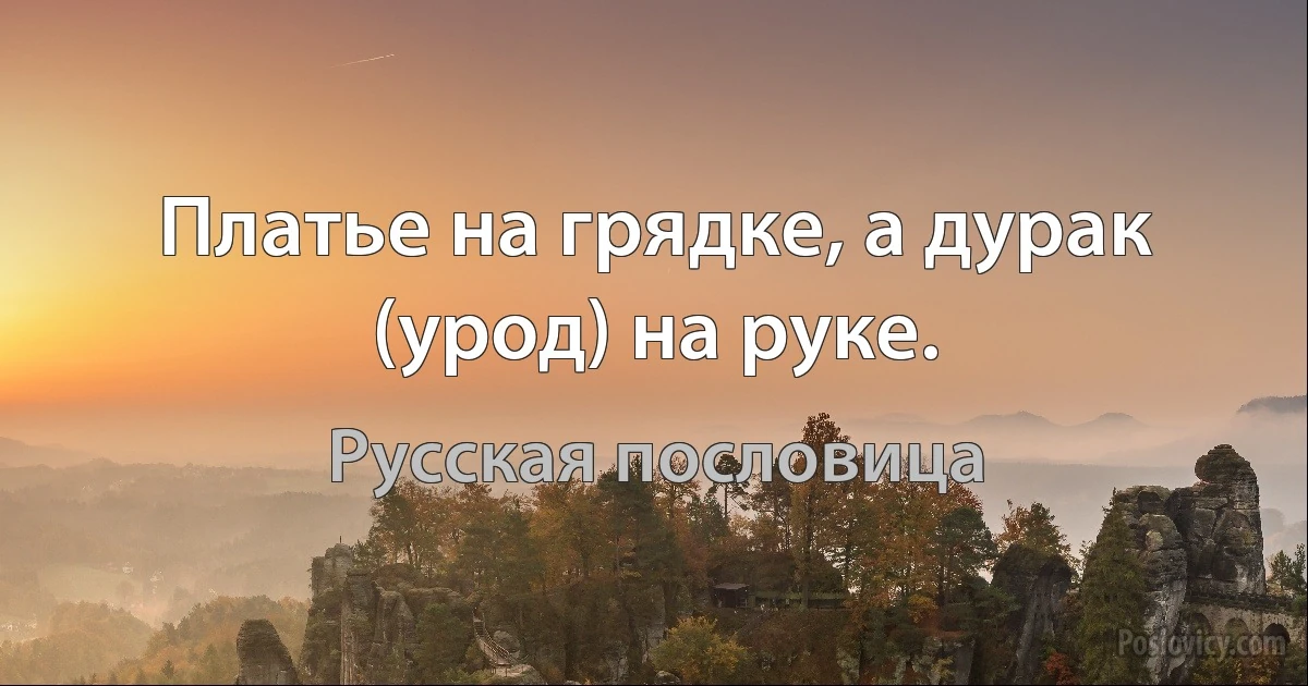 Платье на грядке, а дурак (урод) на руке. (Русская пословица)