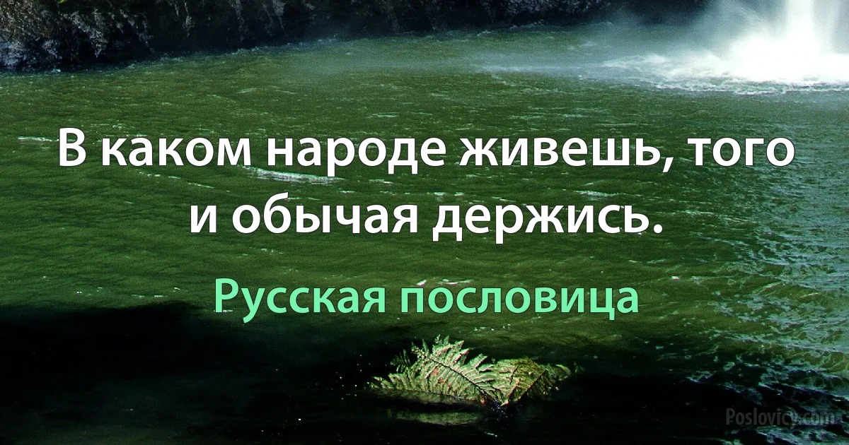 В каком народе живешь, того и обычая держись. (Русская пословица)