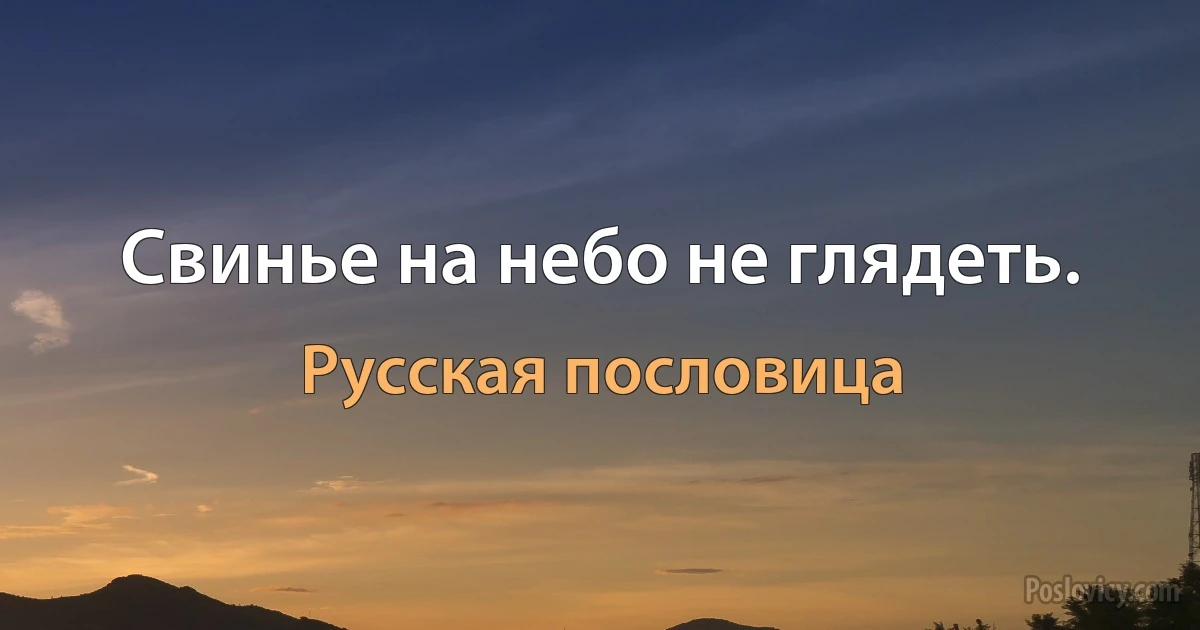 Свинье на небо не глядеть. (Русская пословица)