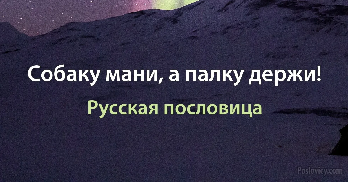 Собаку мани, а палку держи! (Русская пословица)