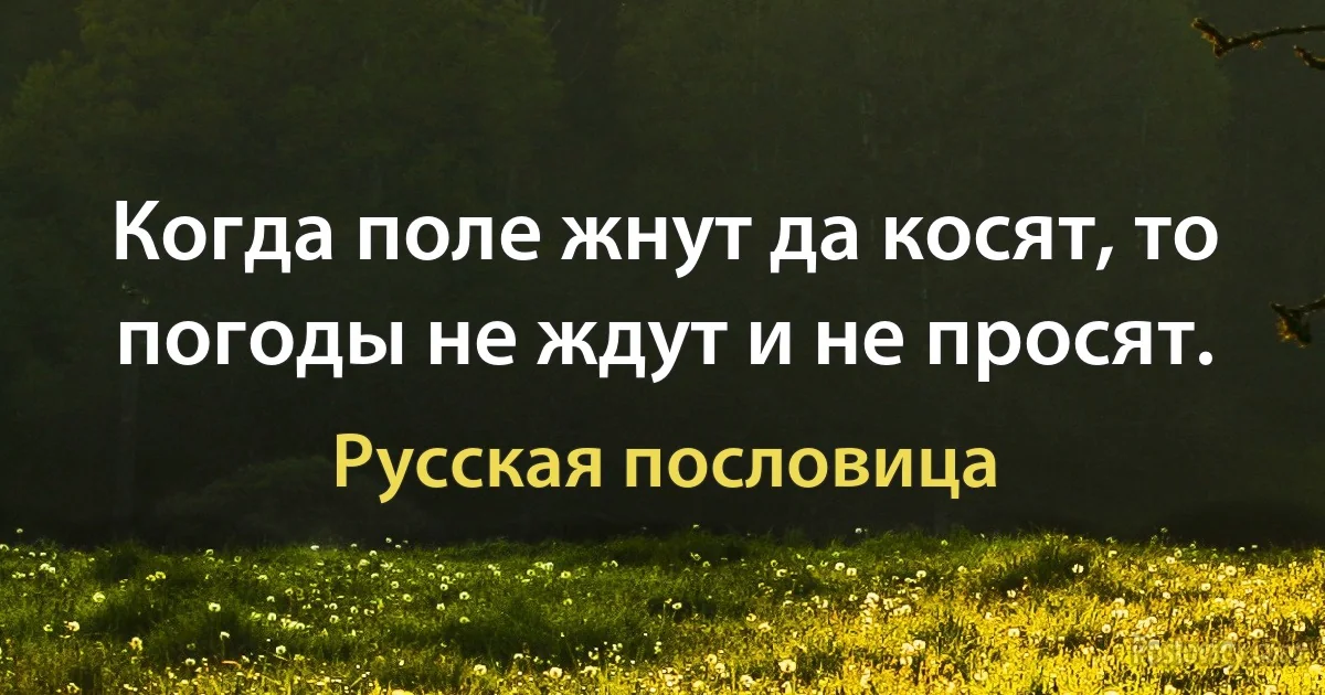 Когда поле жнут да косят, то погоды не ждут и не просят. (Русская пословица)