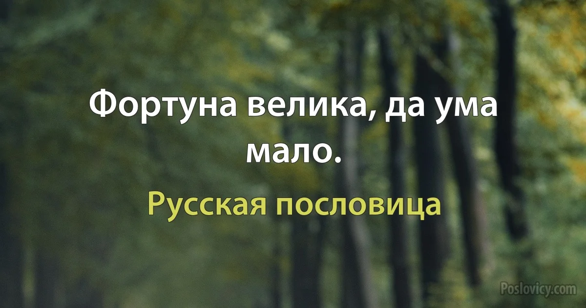 Фортуна велика, да ума мало. (Русская пословица)