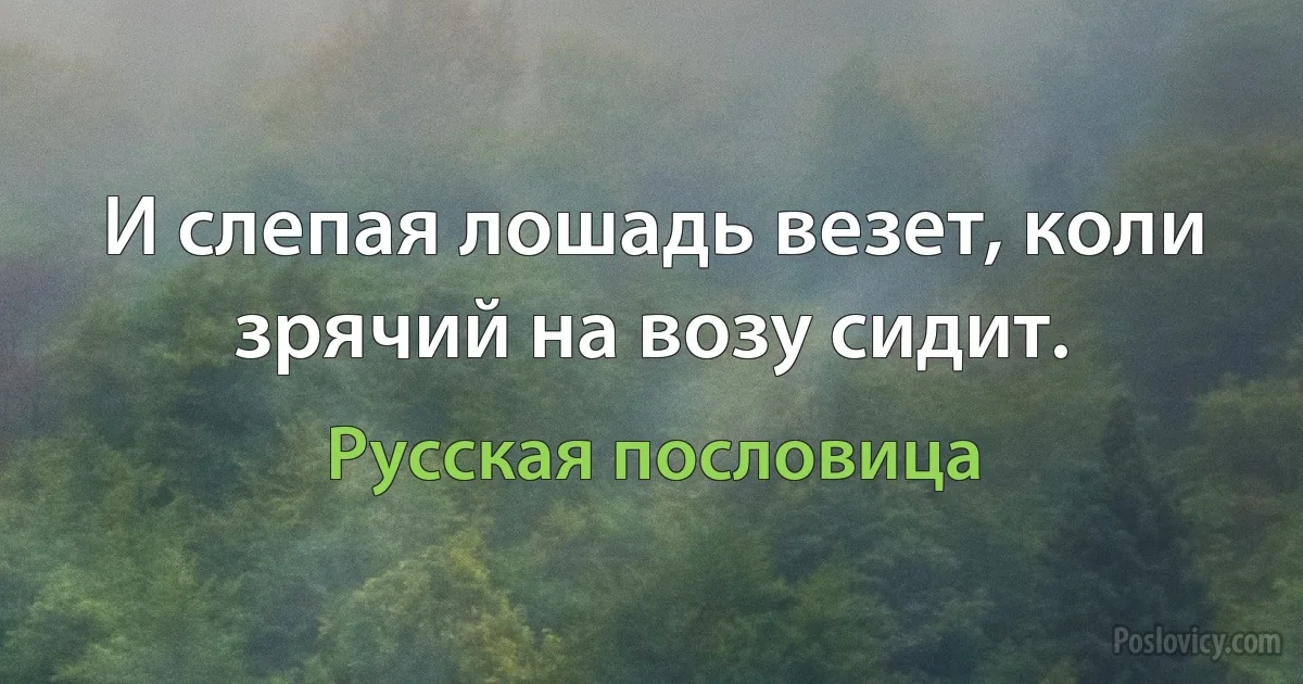 И слепая лошадь везет, коли зрячий на возу сидит. (Русская пословица)