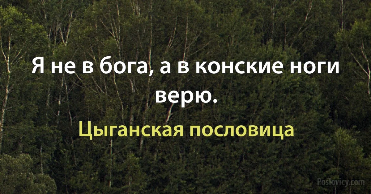 Я не в бога, а в конские ноги верю. (Цыганская пословица)