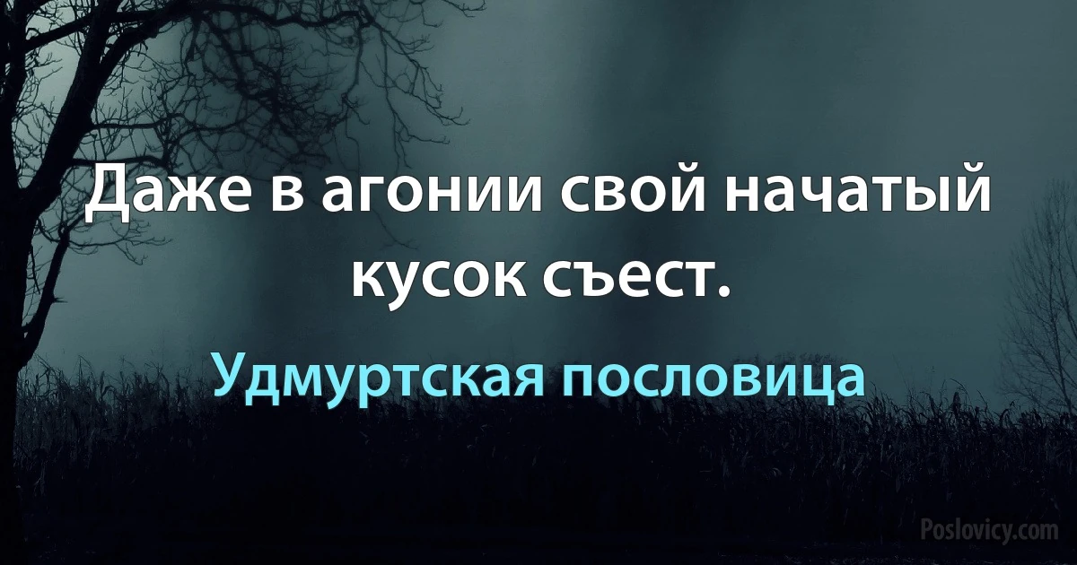 Даже в агонии свой начатый кусок съест. (Удмуртская пословица)