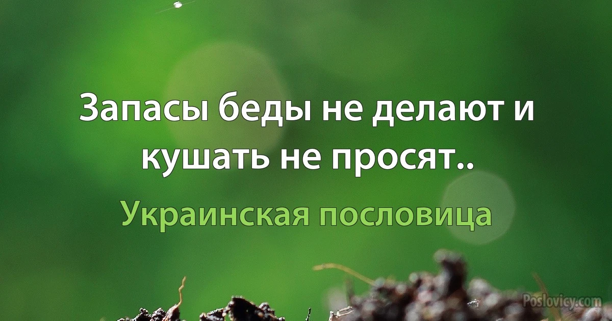 Запасы беды не делают и кушать не просят.. (Украинская пословица)