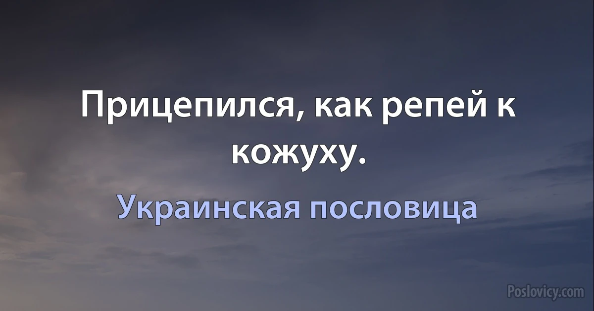 Прицепился, как репей к кожуху. (Украинская пословица)